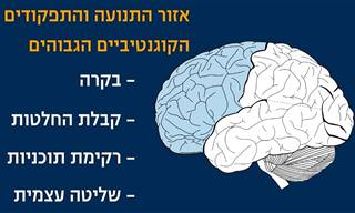 ד