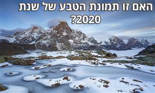 14 תמונות מתחרות צילום טבע בינלאומית לשנת 2020