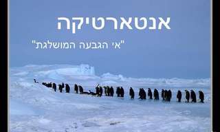 היצורים שעבורם אנטארקטיקה זה בית
