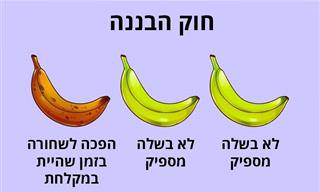 12 תמונות משעשעות שמציגות את החיים בצורה מדויקת להפליא