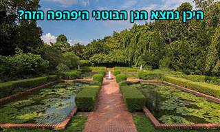 הכירו את הגנים הבוטניים היפהפיים של סינגפור