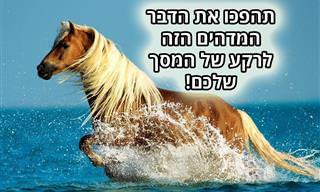24 רקעים מרהיבים של חיות בר למחשב ולסמארטפון
