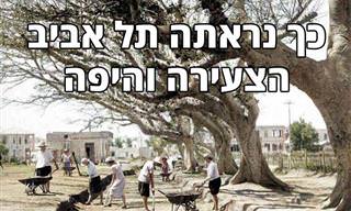 15 תמונות נוסטלגיות נפלאות של העיר תל אביב