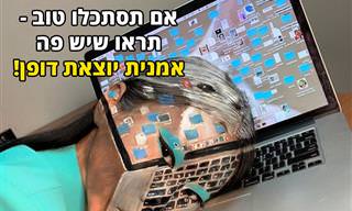 20 יצירות של אומנית שיוצרת על הגוף שלה אשליות אופטיות