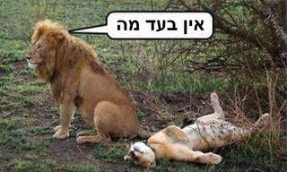 כמה קלוריות שורפים בזמן סקס? מצחיק!