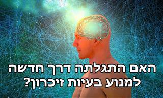 ניסוי מהפכני הוכיח שנתיקן לשקם את הזיכרון בגיל מבוגר
