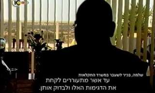 מתכת מסוג קדמיום בעוף שאנחנו אוכלים