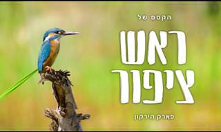 הכירו את מרכז הצפרות בפארק הירקון - חוויה לכל חובבי הטבע