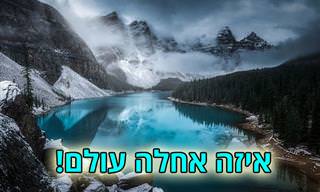 16 תמונות זוכות מתחרות הצילום הבינלאומית לשנת 2020