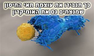 המחקר חשף: תאי T עדיין מגנים כנגד הקורונה והווריאנטים שלה - וכך תגבירו אותם בגוף!