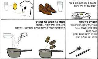 13 שימושים מעניינים בחלב
