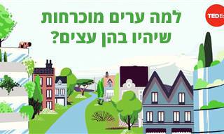 סרטון הסבר: למה אסור לנו לוותר על עצים במרחב העירוני?