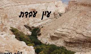 סיור בעין עבדת