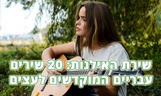 אוסף שירים עבריים יפים על עצים ואילנות