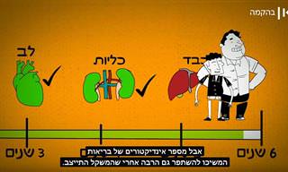איך הגוף מגיב לדיאטה?
