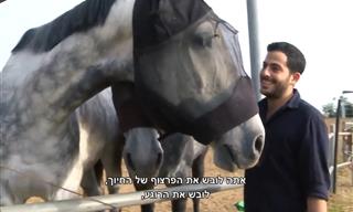 סיפורם המרגש של דוד ושיר בן סימון על זוגיות והתמודדות עם פוסט טראומה