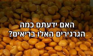 הכירו את התורמוס ו-11 מיתרונותיו הבריאותיים
