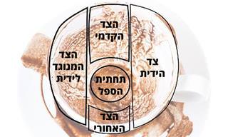 מדריך קריאה בקפה