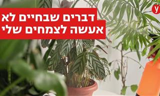 10 דברים שאסור לעשות לצמחים ביתיים