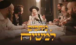 שולי רנד בגרסת כיסוי מיוחדת לשיר 