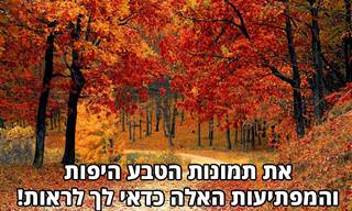 סדרת תמונות טבע יפות ומפתיעות שכדאי לראות