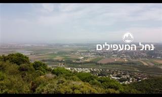 סרטון מסלול לטיול בכרמל ובנחל המעפילים