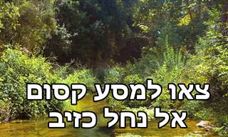 הסרטון הזה ייקח אתכם למסע קסום בנחל כזיב!