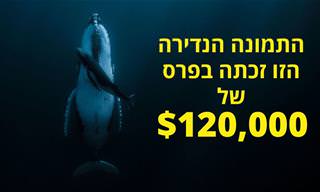 17 תמונות נבחרות מתחרות הצילום HIPA