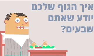 איך הגוף יודע שהוא שבע?