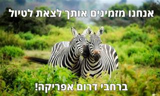 מפה אינטראקטיבית עם סרטונים של יעדים מדהימים בדרום אפריקה