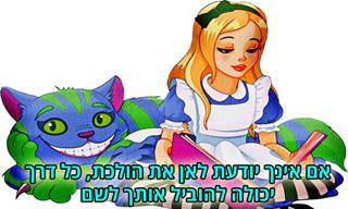 14 ציטוטים מעצימים ויפהפיים מתוך 