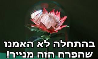 לא תאמינו באיזה דיוק האמנית הזאת משחזרת את הטבע עם נייר!