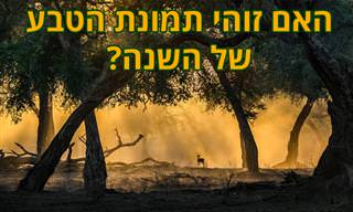 15 תמונות זוכות מתחרות 