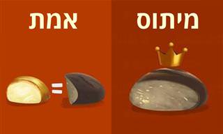 מיתוסים לעומת אמת בנושא תזונה ודיאטה