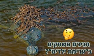 15 עובדות מעניינות ומפתיעות על בעלי חיים