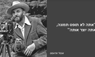 פניני החכמה של גדולי האמנים!