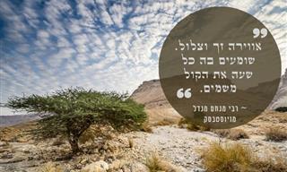 14 ציטוטים נפלאים על ארץ ישראל מפי חכמי היהדות