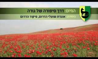 צה