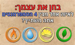 בחן את עצמך: לאיזה אחד מבין 4 הטמפרמנטים אתה משתייך?
