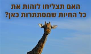 מבחן מי אני – בעליי חיים