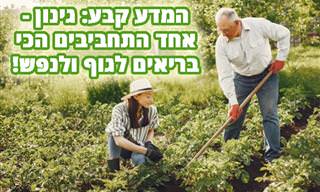 היתרונות הבריאותיים והנפשיים של גינון