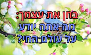 בחן את עצמך: מה אתה יודע על עולם החי?
