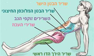 פלאנק הפוך: התרגיל היעיל ביותר לשריפת שומן ושיפור היציבה