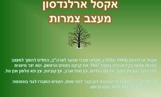 פיסול בעצים חיים