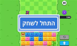 משחק: חיות ממהרות