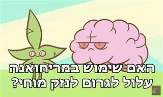 סרטון הסבר על הקשר בין שימוש במריחואנה לנזק מוחי