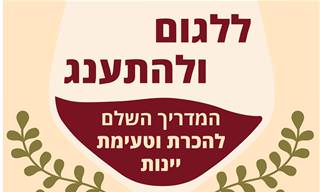 ללגום ולהתענג – המדריך המלא להכרת וטעימת יינות