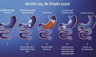 מהי השיטה המדעית להורדה במשקל?