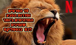 10 סרטי וסדרות טבע מומלצים בנטפליקס