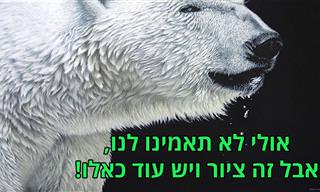 ציורי חיות בר של האמנית קרלה גרייס נראים ממש כמו תמונות אמיתיות
